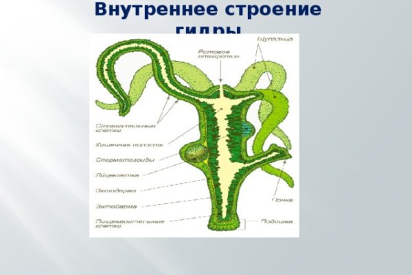 Как восстановить аккаунт кракен
