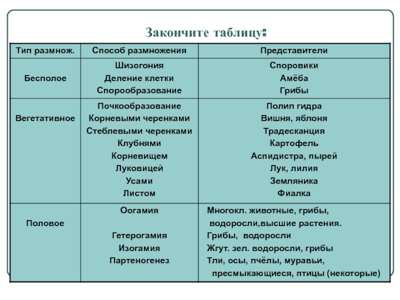 Кракен сайт зеркало рабочее