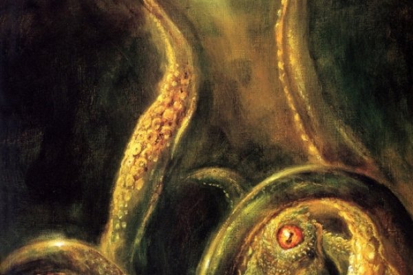 Kraken 13 at